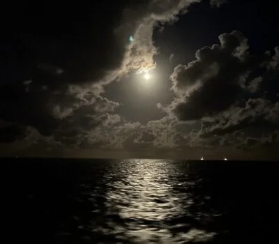 im_nectarine Stripchat Model